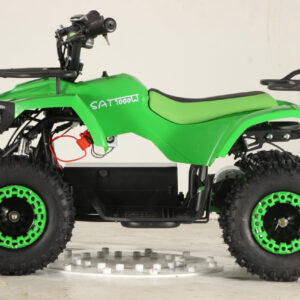 Mini Elektro ATV 1000W – Leistungsstarkes Kinder-Quad mit 48V und 6-Zoll-Reifen